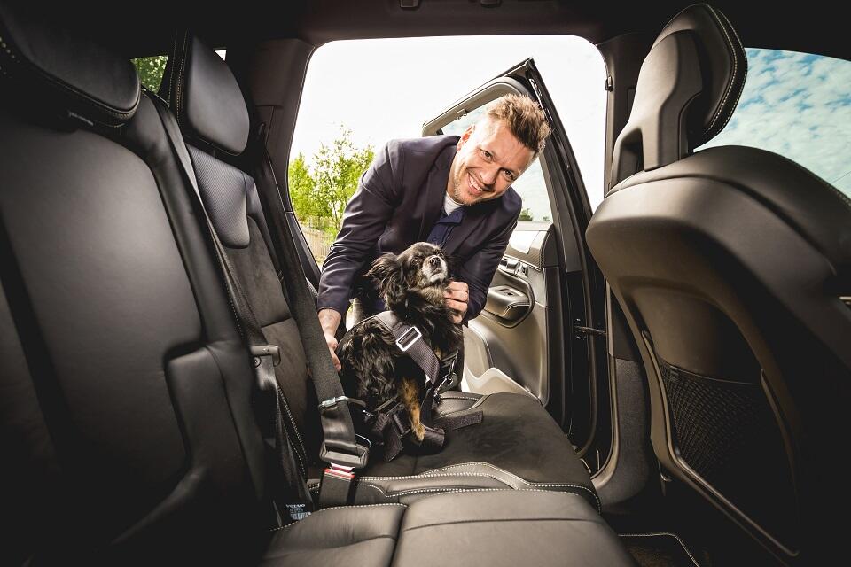 KJÆLEDYR: Ønsker du å ta hunden med på tur? Volvo har spesialtilpassede sikkerhetsseler eller hundebur til bagasjerommet. FOTO: Trond Tomassen, iNord